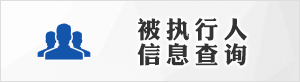 被执行人信息查询